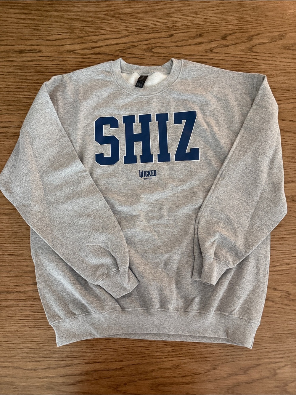SHIZ Grey Crewneck Sweatshirt from Wicked